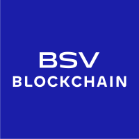 payment-express-middleware